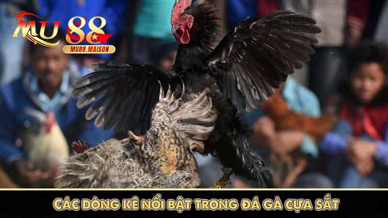 Đá Gà Cựa Sắt MU88 - Thương hiệu đá gà số 1 Việt Nam 11 Các dòng kê nổi bật trong đá gà cựa sắt