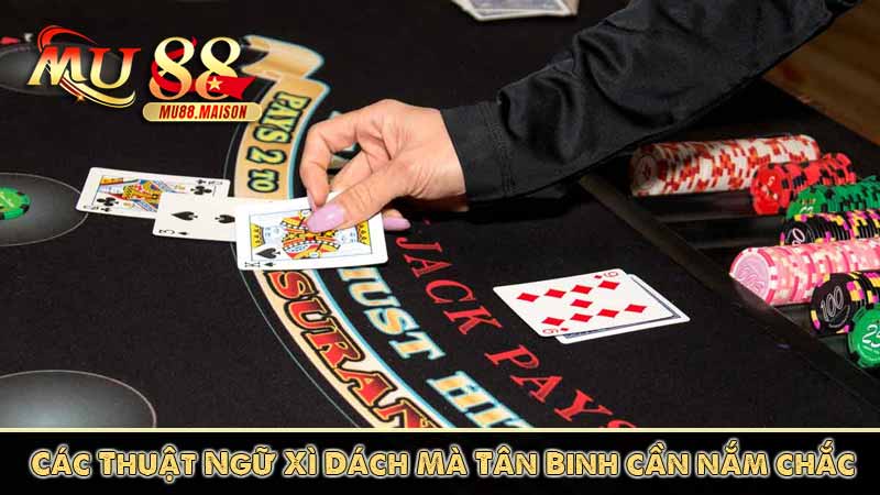 Xì Dách – Hướng dẫn cách chơi, luật chơi và mẹo chơi bá đạo 10 các thuật ngữ xì dách mà tân binh cần nắm chắc
